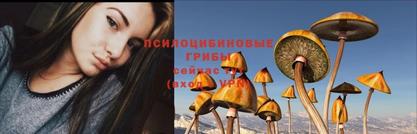 метамфетамин Гусев