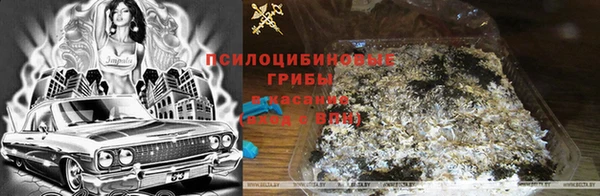 a pvp Дмитриев